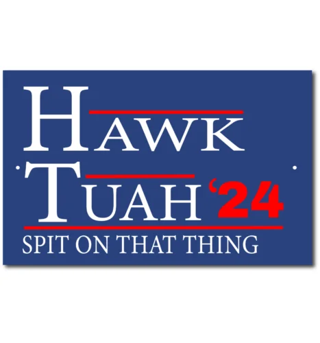 Hawk Tuah 24 Spit On That Thing Funny  Tin Signs Aluminum Metal Sign