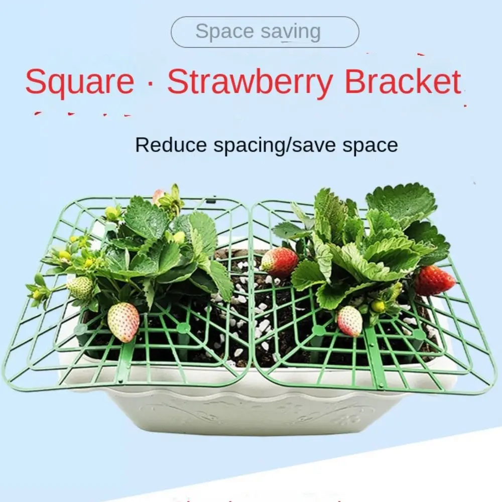 

2pcs 2024 Plant Stand Strawberry Supports Plant Stakes Garden Growing Racks Durable Sturdy Growing Frame