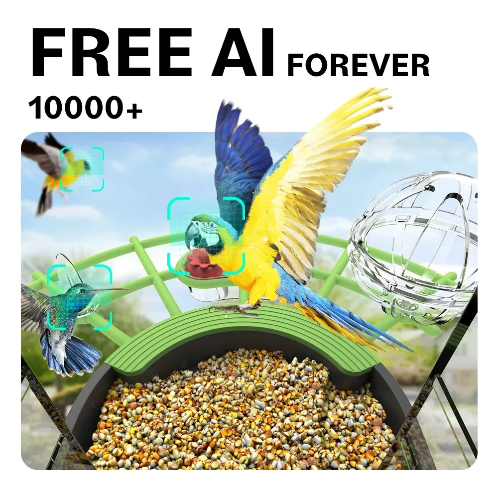 DIDSeth 4MP Bird Box Camera Solar Panel Powered 2K Color Night Vision IP66 with 4800mAh Battery  2-Way Audio for Birdwatching