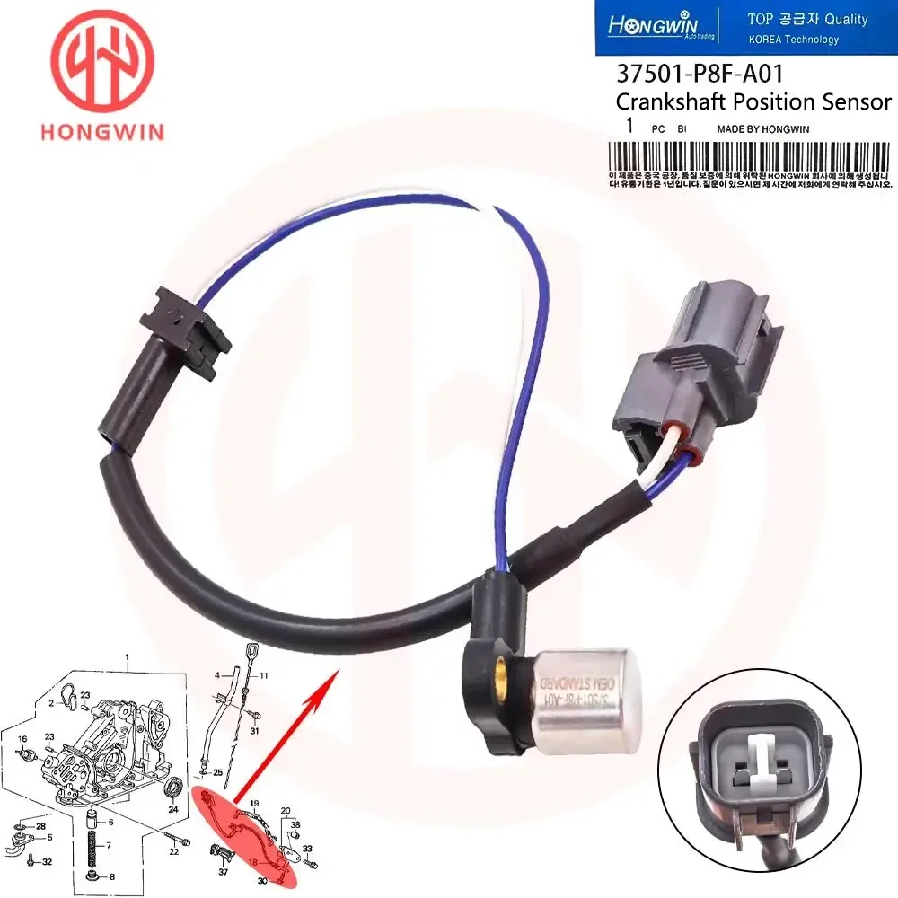 NEUER Kurbelwellenpositionssensor OEM 37501-P8F-A01 für Honda Odyssey 1999–2004 3.5L V6, Pilot 2003–2004 3.5L V6, Acura CL, TL, MDX