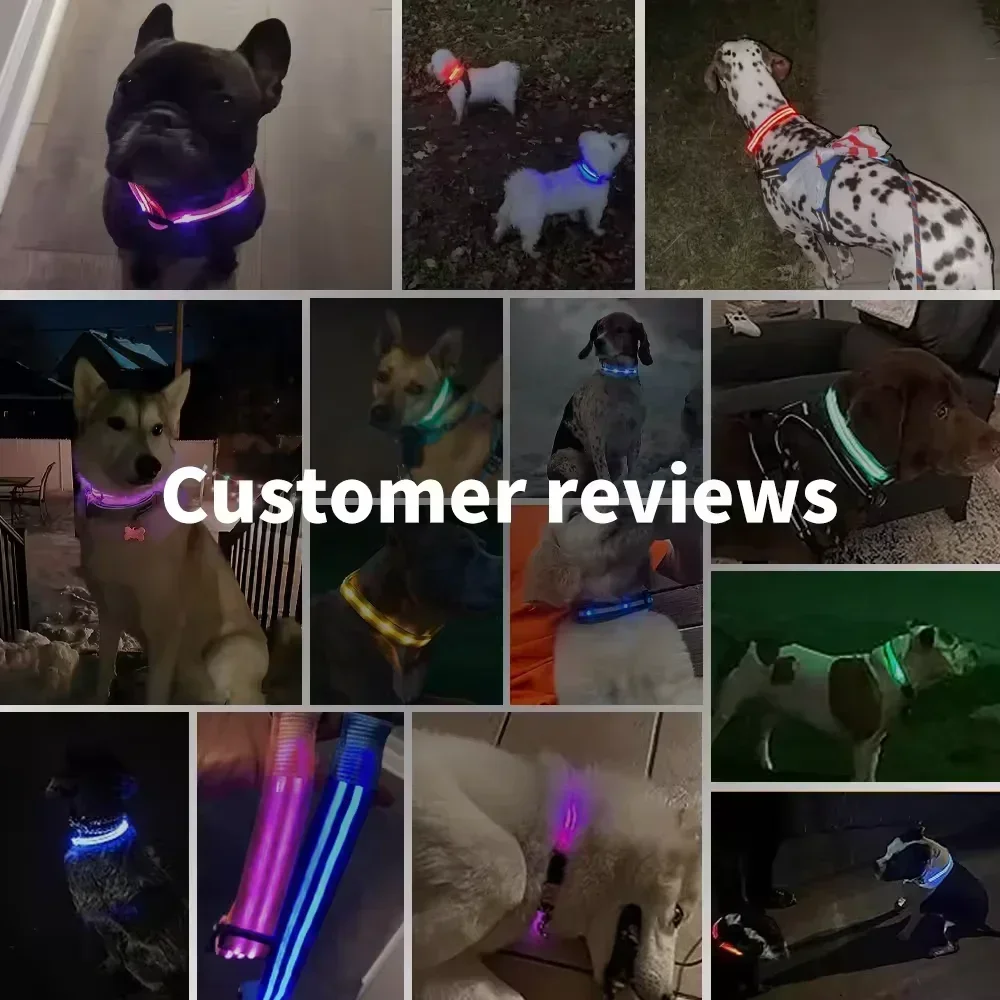 LED متوهجة طوق بكلاب قابل للتعديل وامض Rechargea مضيئة طوق ليلة مكافحة خسر الكلب ضوء تسخير للكلاب الصغيرة منتجات الحيوانات الأليفة