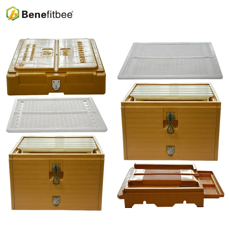 Benefitbee Polystyrene plastic bee hive box 2 layers multifunctional beehive for beekeeping