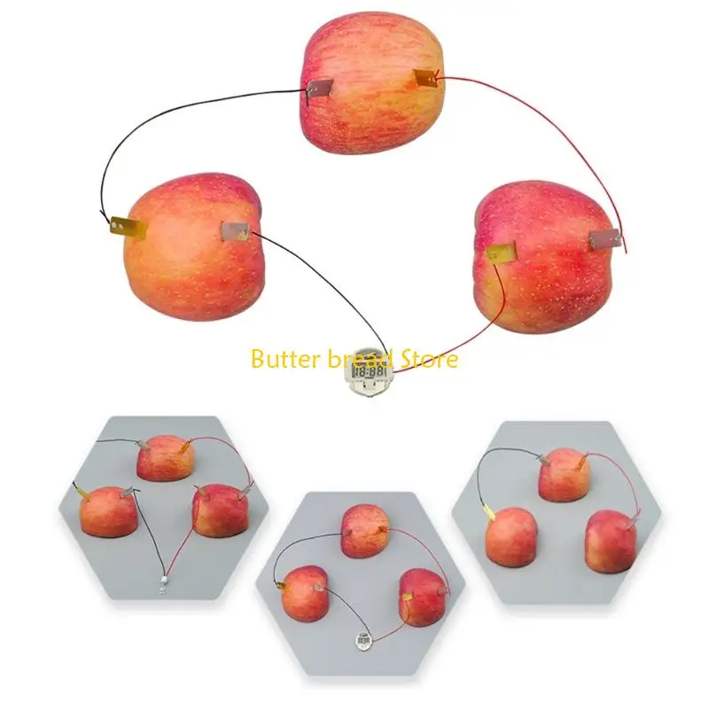 W89C Fruit Battery Science Educational Toy Fruit Power Generation Experiment Set