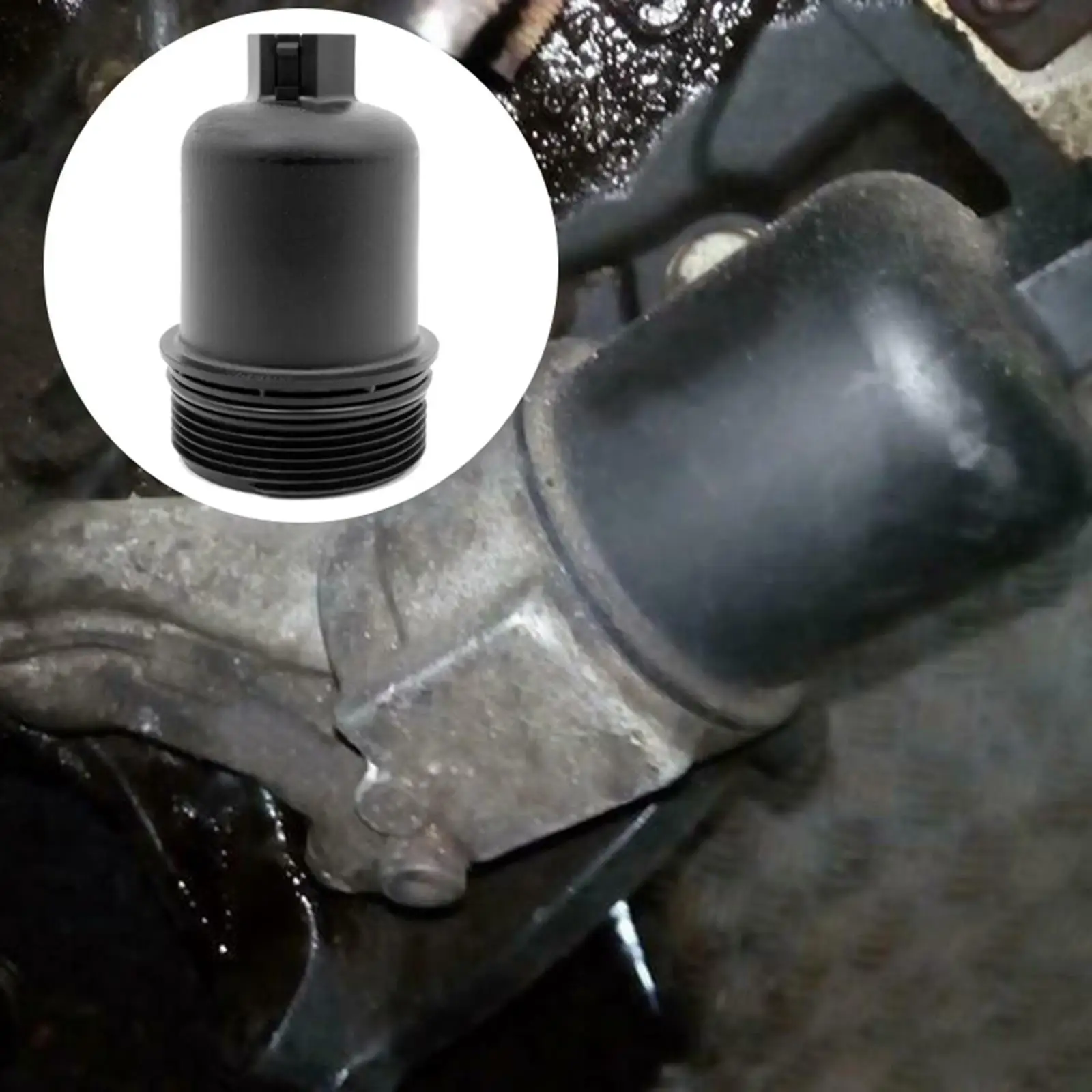 Oil Housing Cap Ass…