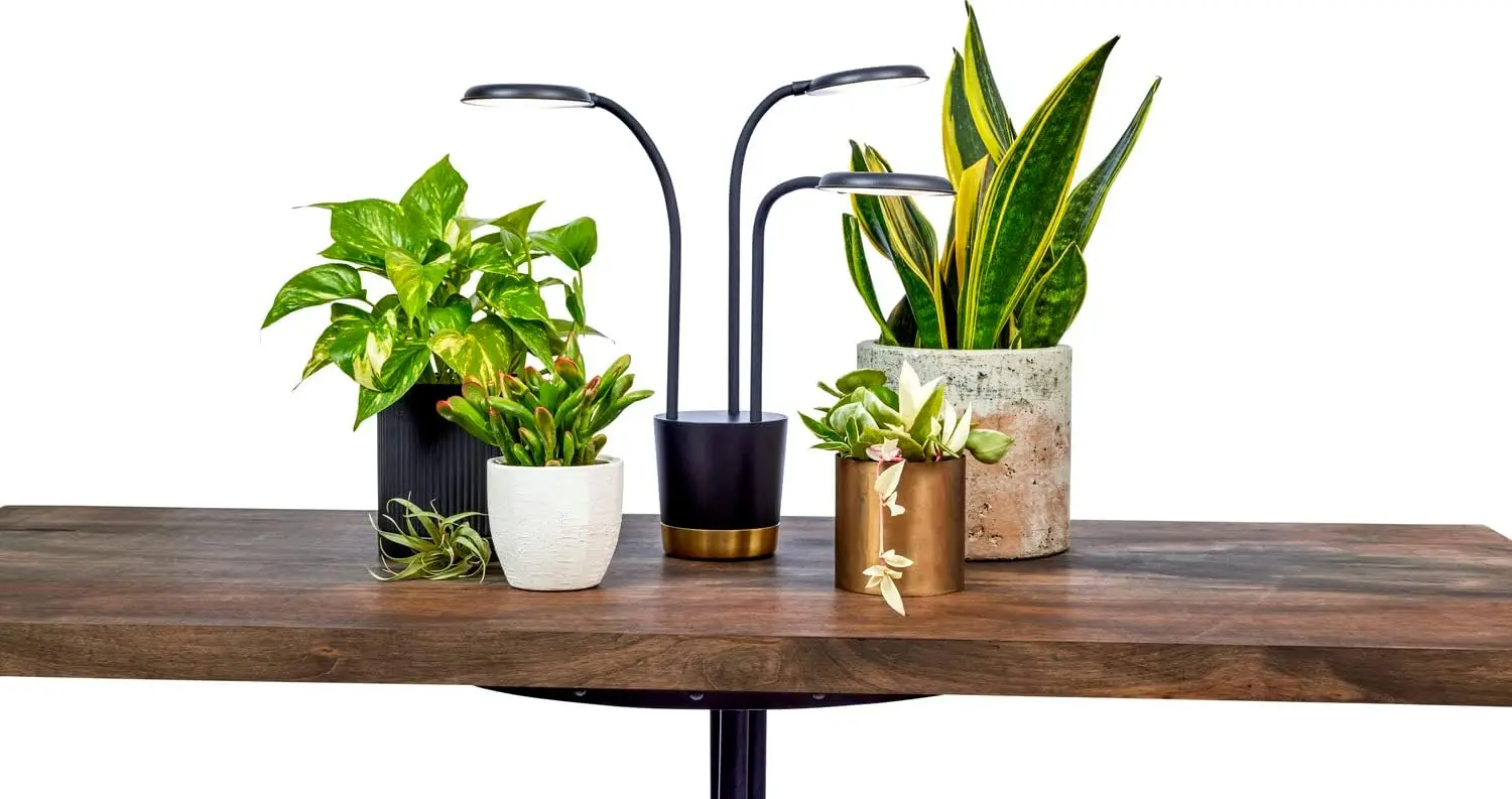 

Indoor Plant Grow Light with Adjustable Modes, Black - Grow Live Plants Anywhere at Home