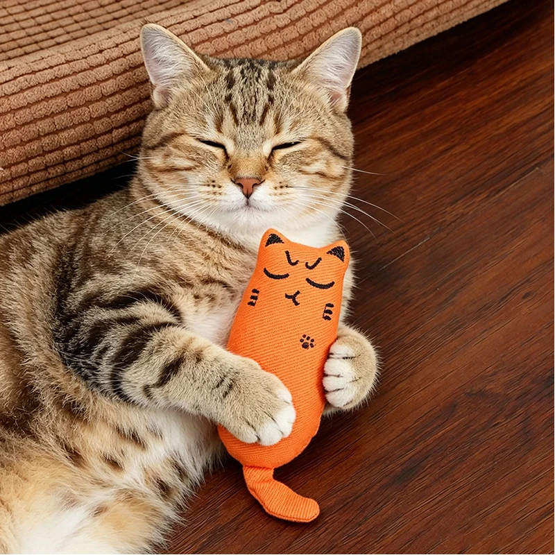 Juguete interactivo con hierba gatera para gatos – Resistente y duradero