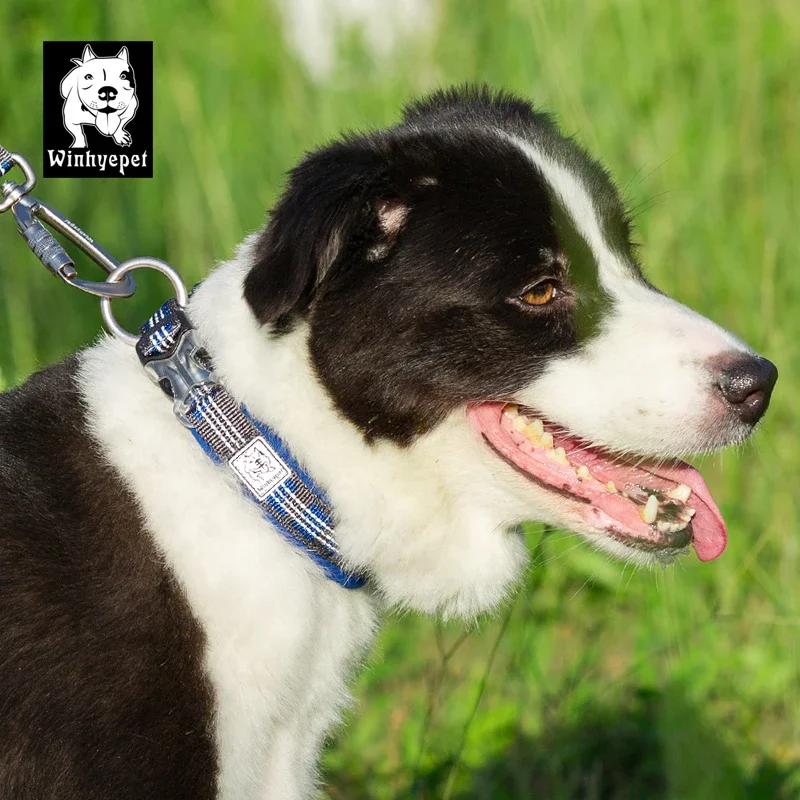 

Ошейник Winhyepet для домашних животных, нейлоновый светоотражающий ошейник для маленьких, средних и больших собак под Truelove, ошейник для собак YC1854