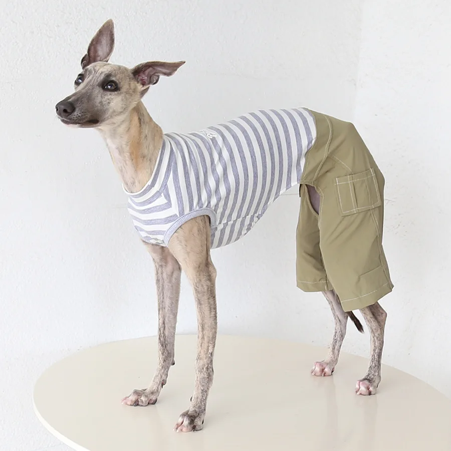 

Mutihome 2026 Fashion Pet Clothes Dog Supplies Wide Leg Work Pants Italian Little Lingti Huibit Dog Clothes Pet Clothes