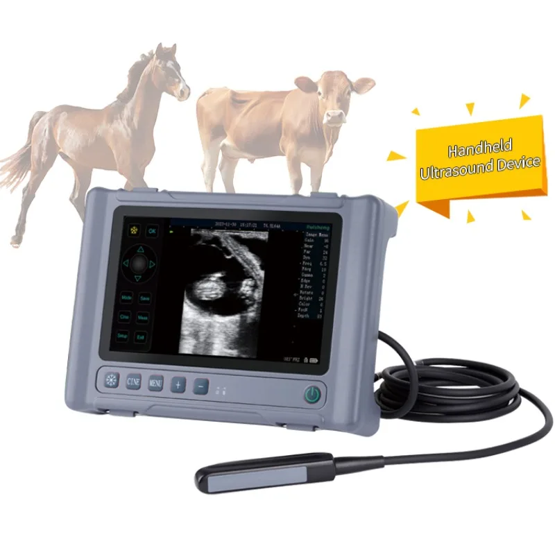 

Animal Pregnancy Diagnostic System Portable Full Digital Veterinary Ultrasound Machine Handheld Ultrasound Scanner