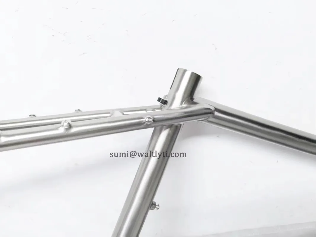 29 Inch Pinion P1.18 Titanium MTB Bicycle Frame Mountain Bike Gearbox System All Mountain Trail AM Custom Bicycle Part