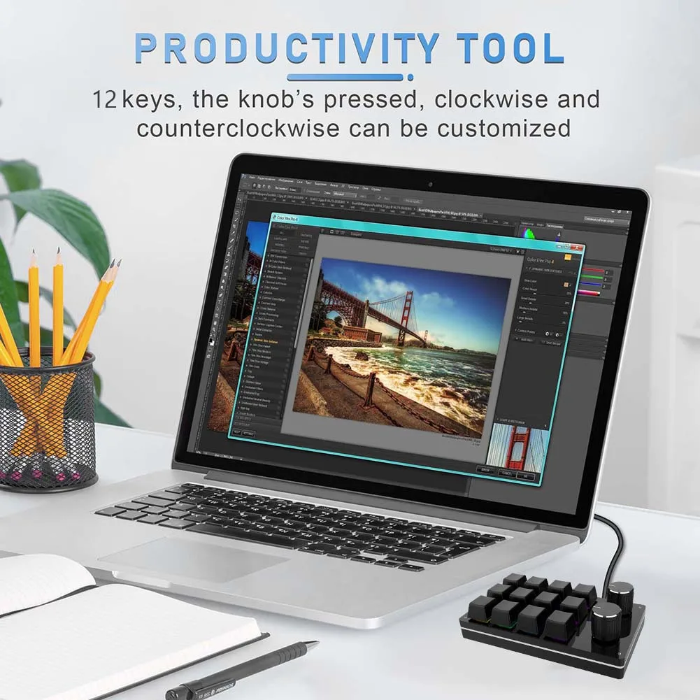 Keyboard Makro 12 Tombol 2 Tombol Keyboard Mini Permainan Dapat Diprogram Keyboard Mekanis Diy Keypad Kustom untuk PS Menggambar Permainan