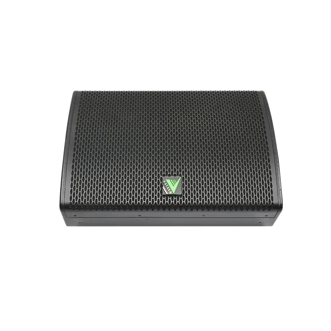 

Two-Way Stage Speaker With 12 Inch Woofer And DSP Optimization
