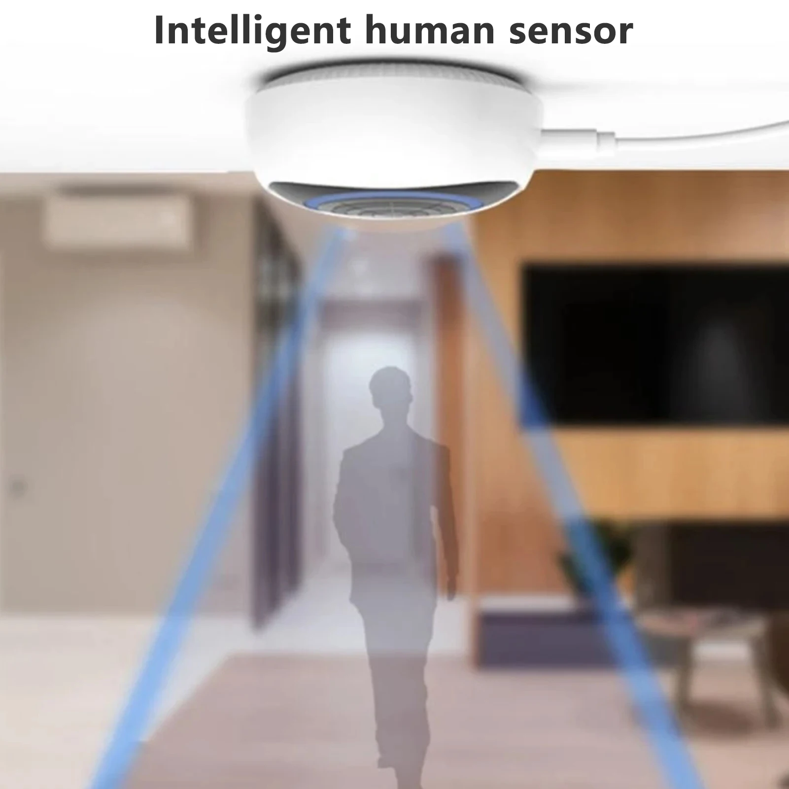 Sensor de movimiento de personas de alta detección, Sensor de cuerpo humano con sonido para el hogar