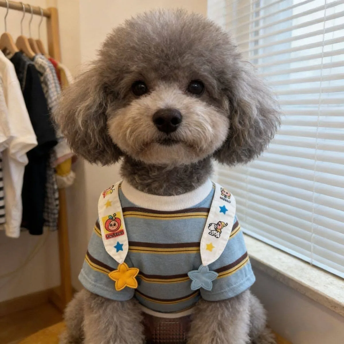 Puppy Anti Shedding Clothes Summer Thin Dog Vest Schnauzer Navy Collar Pullover Teddy Letter Printed Short Sleeved Shirt