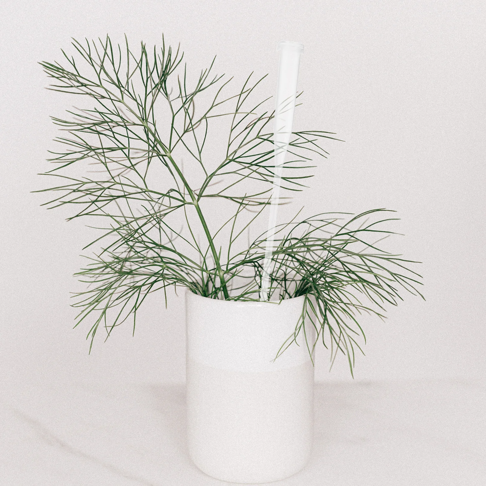 

25pcs for Fresh Flowers Reusable Plastic Water Tubes Floral Tubes With Rack Holder Storage Bag Garden Hose Container