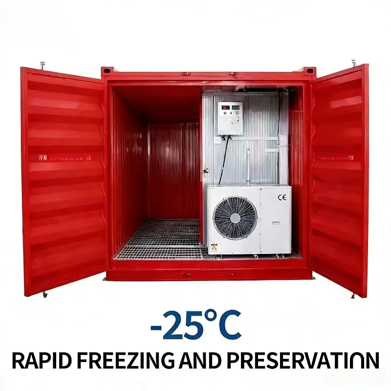 Mobile Solar Cold Room Container 20FT Off Grid for Dairy Farm Customized