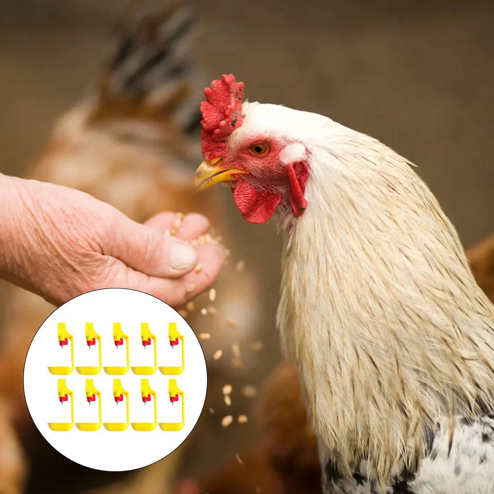 

10pcs Chicken Drinking Fountains Durable Wear-Resistant Automatic Waterer For Farm Household Poultry Use Bright Color Chick