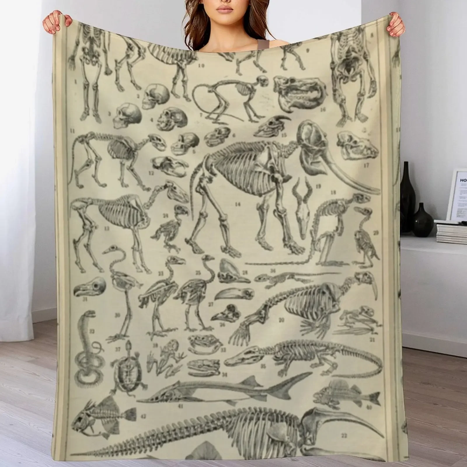 Skeletal Anatomy Throw Blanket Fuzzy Plush Throw Blanket for Sofa Chair