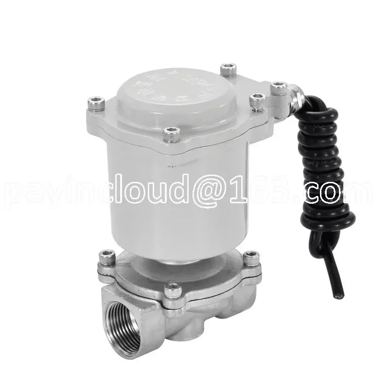 Stainless Steel Explosion-proof Solenoid Valve Gas Natural Gas Diesel Gas Valve 220V24V Water Valve Control Normally