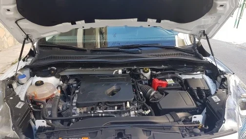 

Амортизаторы капота (газовые пружины) для Ford Escape Kuga 2020-2026, передние, 2 шт.