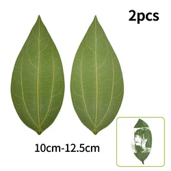 2PCS Pressed Dried Green Leaf Specimen Laser Engraving / Marking materials DIY Mark Portrait Motifs For Laser Engraver Machine