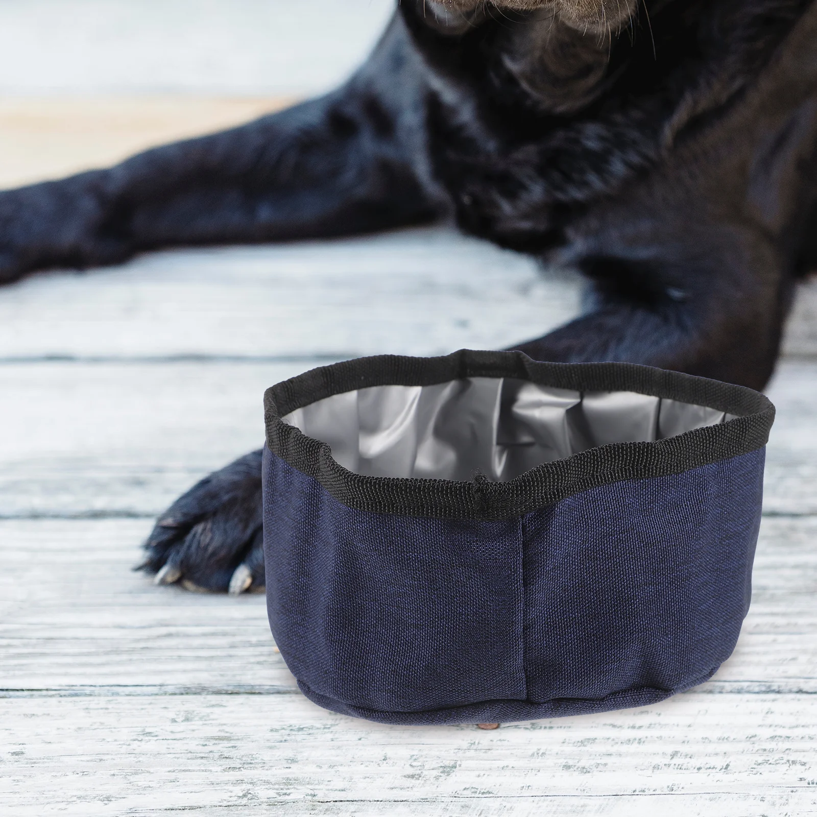 

Foldable Waterproof Dog Bowl Portable Puppy Travel Pet Feeding Bowl Oxford Cloth Small Size Pet Water Container