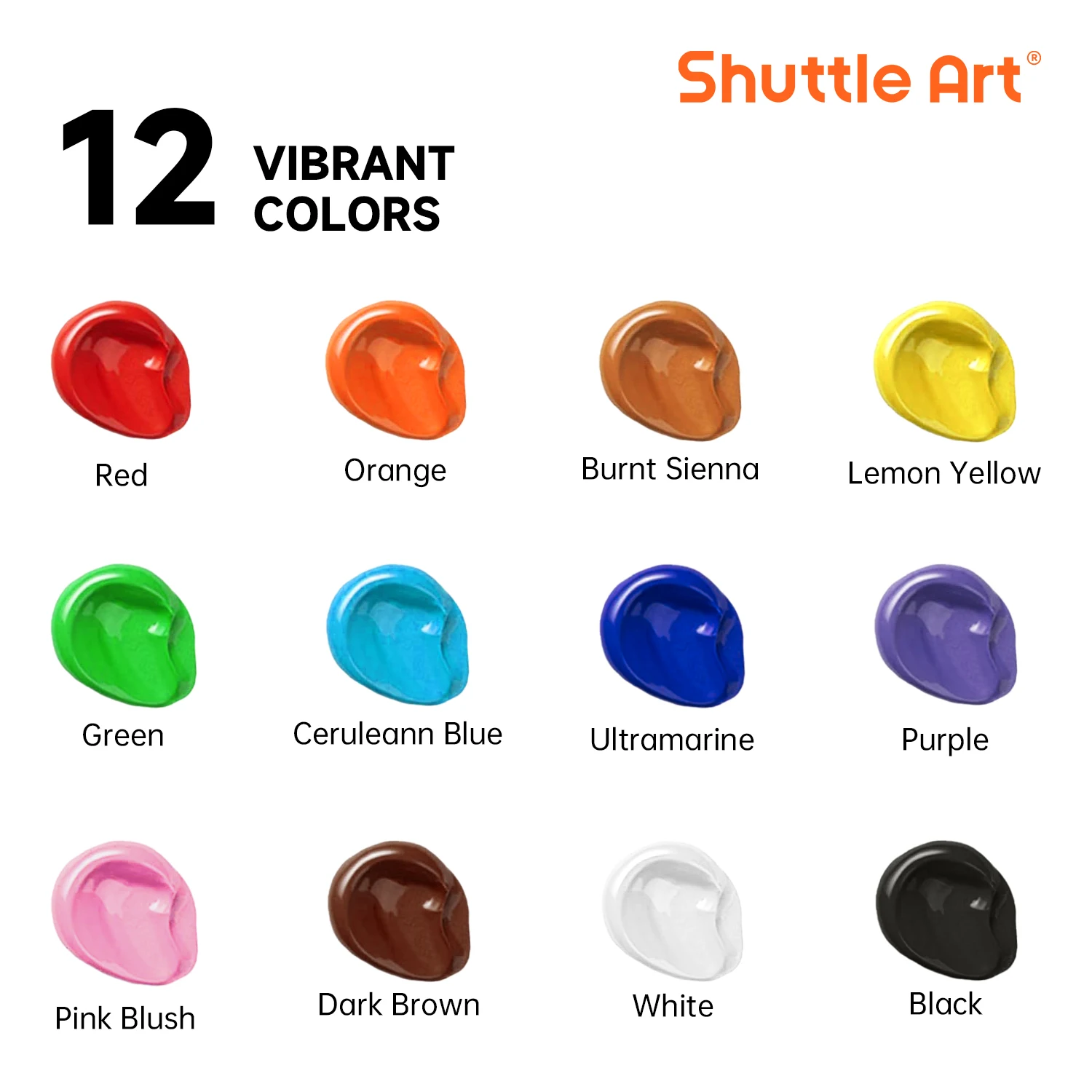 Shuttle Art Outdoor Acrylic Paint Waterproof, 12 Colors 8.45 Oz Large Bottles, Bulk Painting Supplies for Rock Painting Wood Wall Garden Statues Crafts, Rich Pigmented Art Paint for Artists Beginners