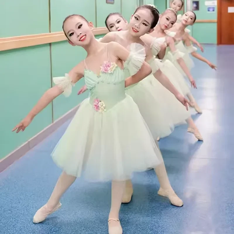 Professional Ballet…