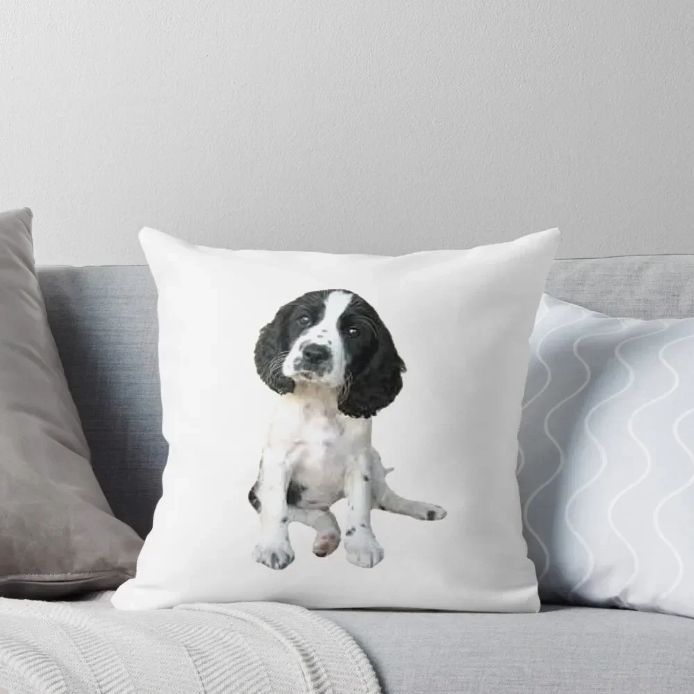 

Sprocker Spaniel Throw Pillow Sofa Covers For Living Room Pillows Aesthetic christmas pillowcases pillow