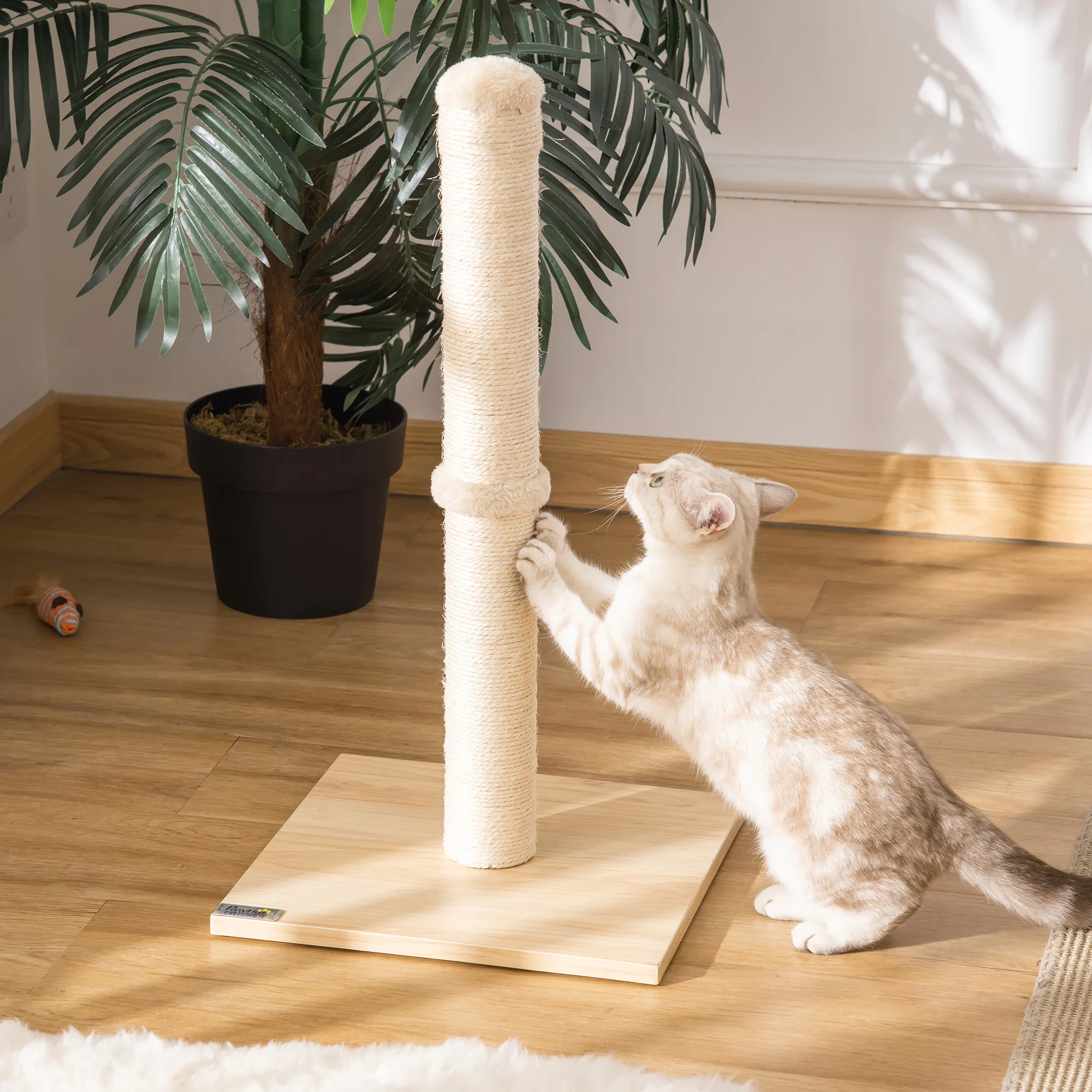 PawHut tronco da grattare per gatti colonna in sisal tiragraffi stabile giocattoli da grattare gatto con palla sisal in truciolare da 60 cm