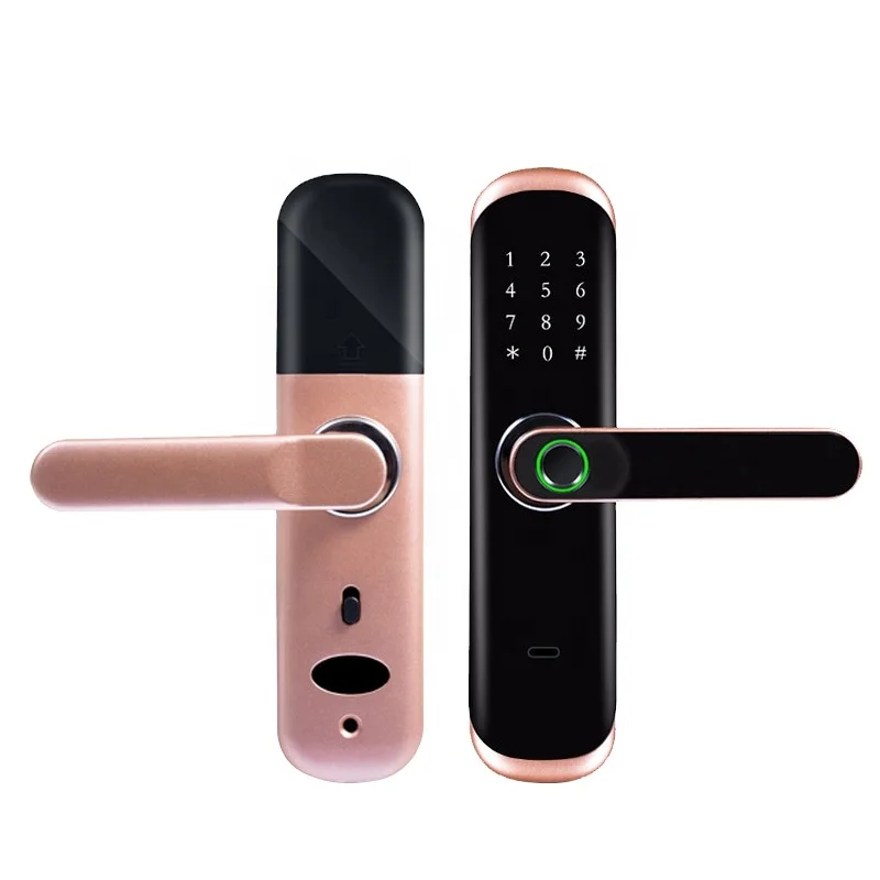 tuya or ttlock wireless digital smart door lock biometric fingerprint door lock with key