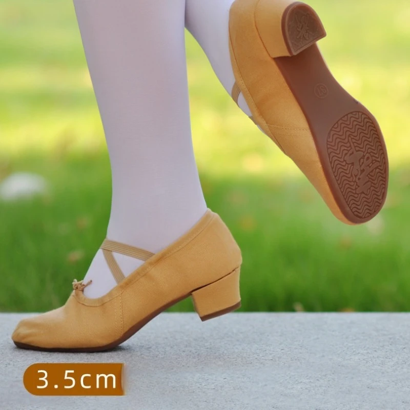 Scarpe da ballo professionali Scarpe da danza del ventre latino con suola morbida da donna Tacco medio per adulti Suola in gomma per esterni