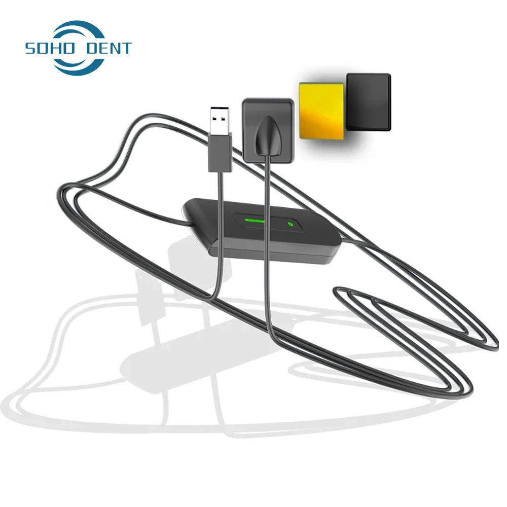 Dental Sensor USB Dental X Ray Sensor Intra Oral Camera Digital Rvg Sensor for Dental Clinic