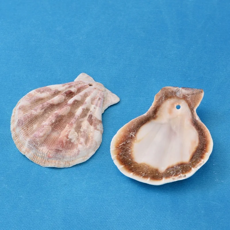Scallop Shell Beads Sea Shell Beads Dyed Mixed Color 32~45x29~42x6~7mm Hole: 2mm 90pcs/500g