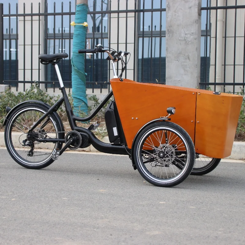 Electric cargo trike  family bike electric cargo bike three wheel electric cargo tricycle