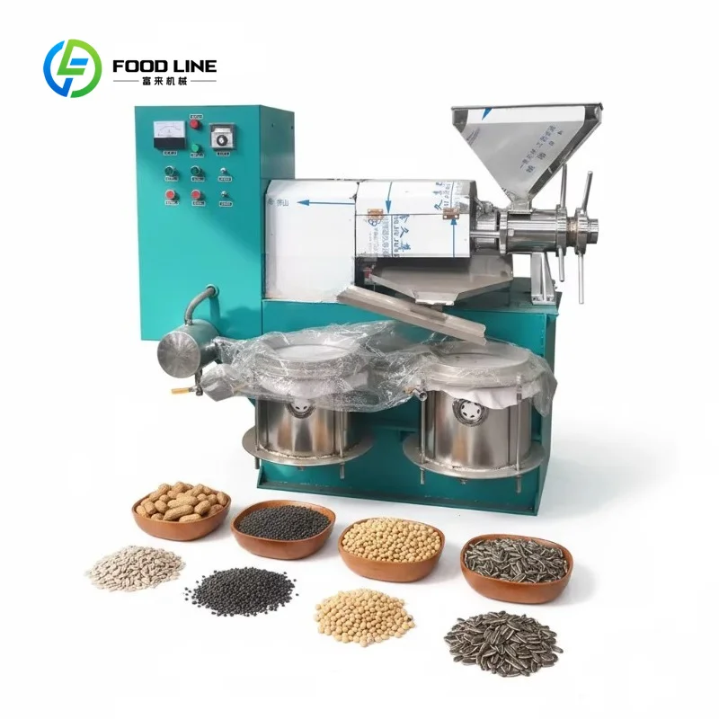 Customized Automatic Peanut Soybean Sesame Walnut Oil Press Machine High Productivity Cold & Hot Pressing for Small Business