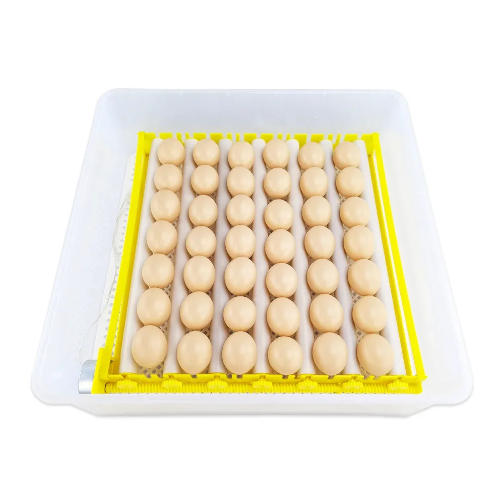 cheap price chicken incubator hatcher 110v / 220v egg hatching machine commercial egg incubator for sale 42 egg incubator china