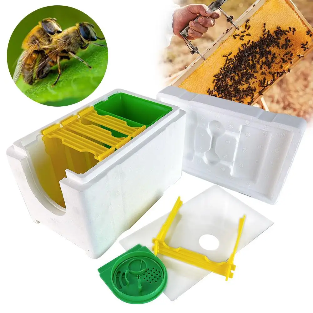 

Mini Beehive Beekeeping Box Multi-Function Home Bee Beekeeper Hive Boxes Mating Bee Supplies Hive Harvest Pollination K8L2