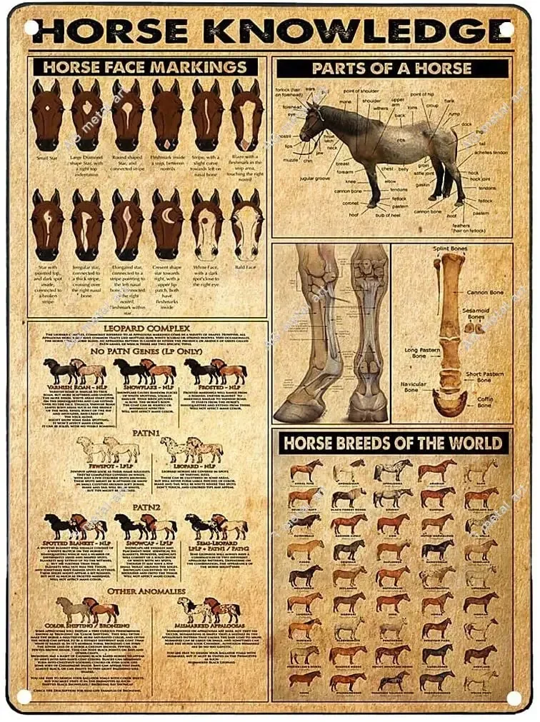 

Vintage Tin Signs Vintage Metal Signs for Bathroom Horse Knowledge 1 Coffee Wall Sign Home Decor Posters12x8 In Ches