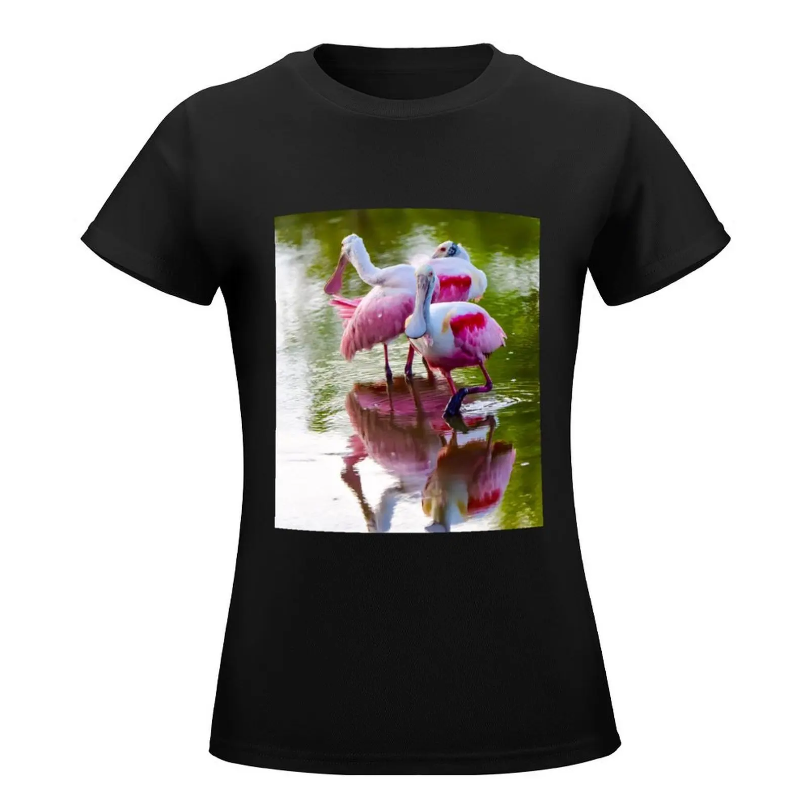 Three Roseate Spoonbills T-Shirt lady clothes summer clothes funny tight shirts for Women