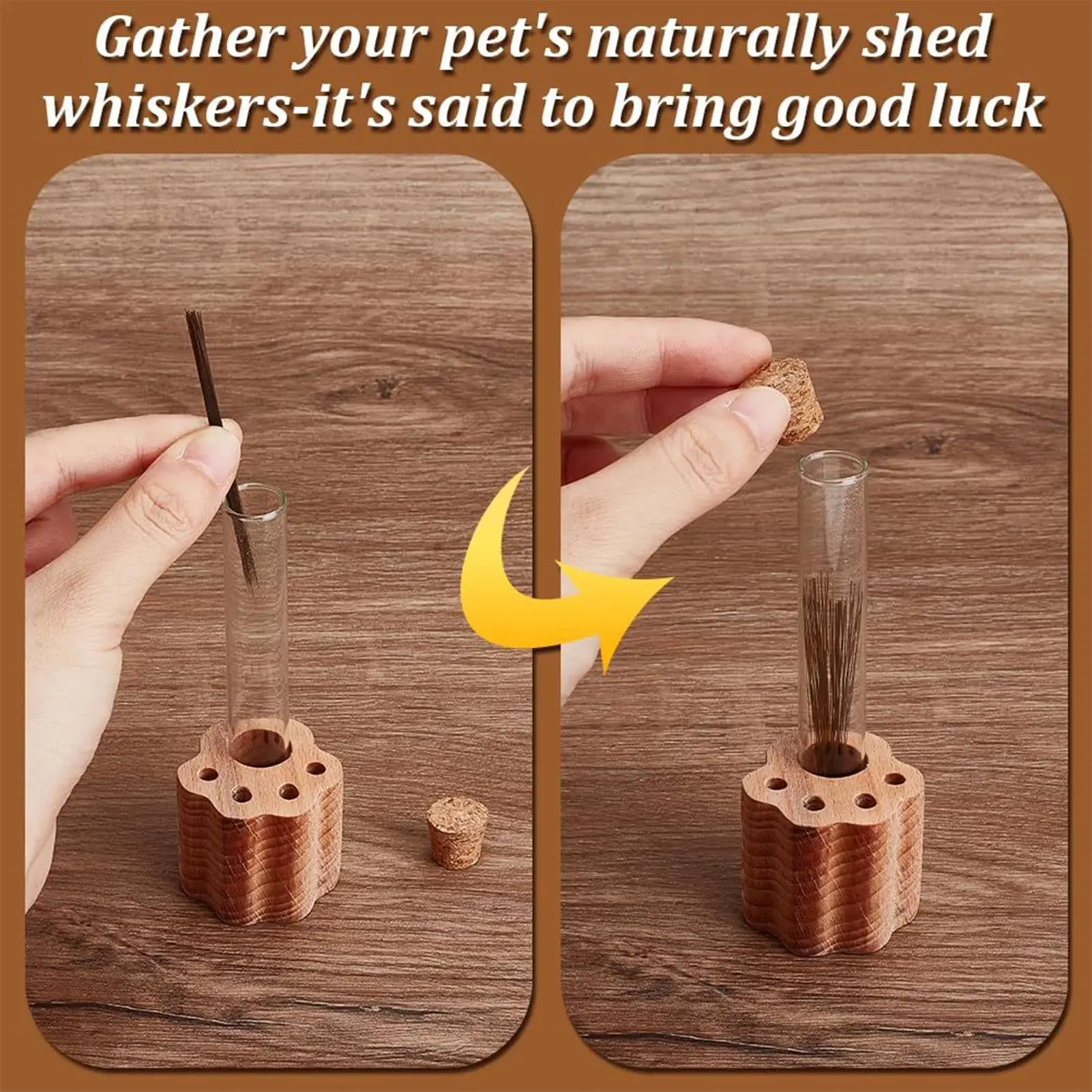 Cat Whisker Keepsake Jar Glass Memory Box with Wooden Base Cat Whisker Collection for Women Men Adults Pet Loss Memorial Gift