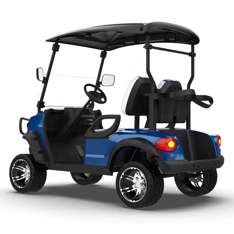 2 Seats Mini Electric Golf Cart 48V Lithium Battery Off Road Electric Golf Buggy