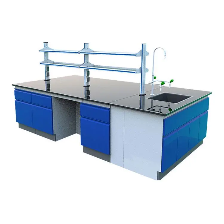 

Top Quality Or Laboratory Steel And Wood Floor-Mounted Lab Bench With Sink