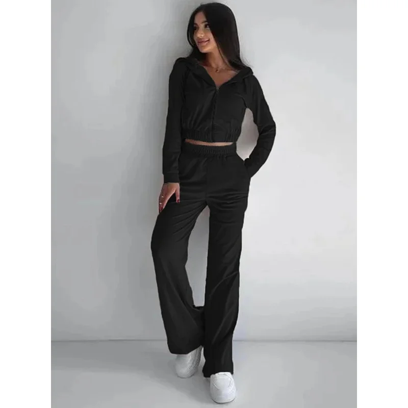 2025 nuevo otoño Color sólido mujer plata zorro traje de terciopelo de manga larga con capucha chaqueta cárdigan pantalones casuales elásticos mujer T ★ ★ ★ ★