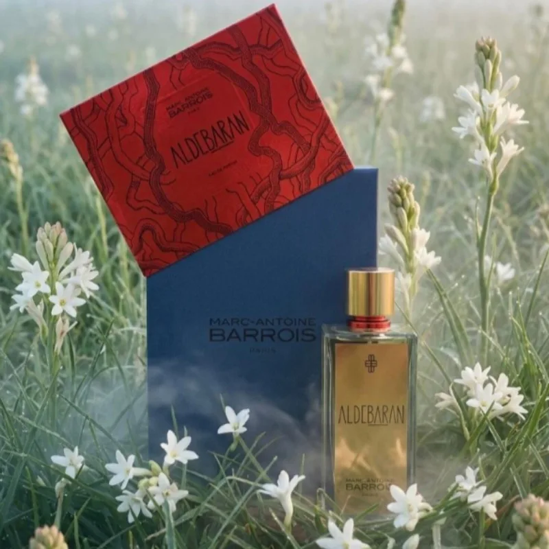 Profumo Unisex Speziato e Legnoso, Caldo, Intenso, Audace e Accattivante, 100ml, Fragranza di Nicchia a Lunga Durata con uno Stile Distintivo e Sofist