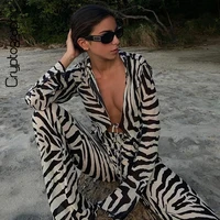 Conjuntos criptográficos con estampado de animales, malla transparente a rayas, detalle frontal, conjuntos a juego, trajes de moda, conjuntos de 2 piezas, ropa de playa para vacaciones
