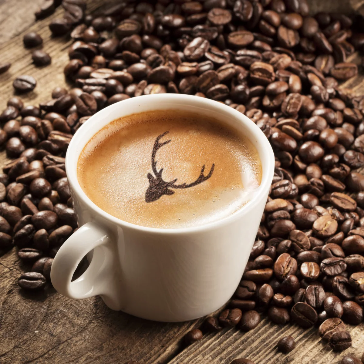 

12Pcs Coffee Art Stencils Plastic Reusable Smooth Surface Latte Cappuccino Cake Cocoa Sprinkling Decorating Templates