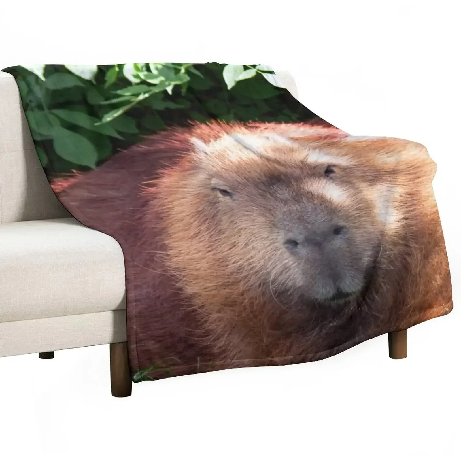 Capybara Throw Blanket Extra Large Throw Luxury Thicken For Decorative Sofa Soft Blankets