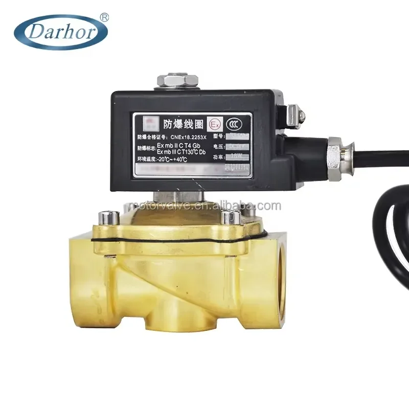 صمام لولبي 220V 12V 24V Explosion-proof Solenoid Valve CT4 Coal Mine Natural Valve Normally Closed Hydraulic Stainless Steel الهيدروليك — تفصيل 4