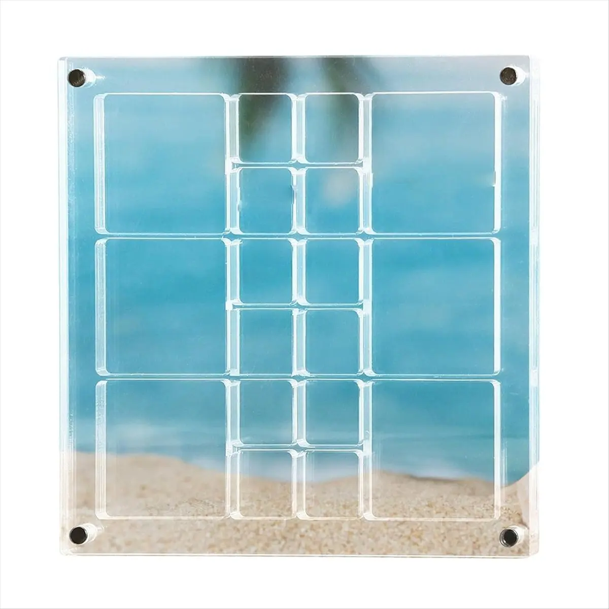 【2026 TOP Global】▼△◑Magnetic Seashell Display Box, Seashell Storage Box Decorative Box for Seashell Starfish Trinket, Bead, Nail